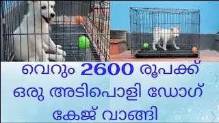 Unboxing Double door Dog cage & Review 🐶😍// My Laika's new 🏠#dogcrate #youtubechannel #dogs #puppy
