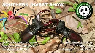 Invert Shows UK - Southern Invertebrate Show