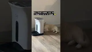 Meal time= Best time