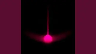 Fuchsia Hypnotic