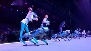 Игры будущего открытие - Танец с собаками / Games of the future discovery - Dancing with dogs