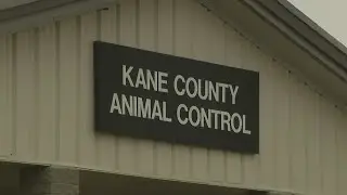 Chicago area county's proposal to offer euthanasia for pets causes controversy