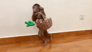 Selena Scream Loud In Basket When Chichi Running Fast To Pick Up Her
