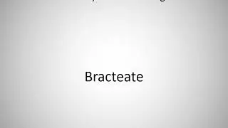 How to say Bracteate in English?