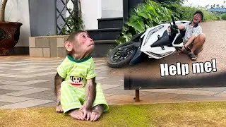 Cubis Monkey worriedly thought Dad was in big trouble!