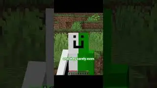 garrots for the L man #shorts #minecraft #sword4000