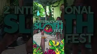 ✨International Sloth Day!