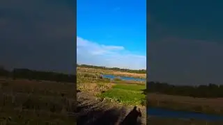 Срач не назавжди @СелоВихідногоДня #villagevlog #work #village #villagelife #nature