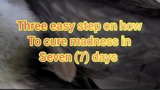 three easy step to cure madness in seven(7) days (A MUST WATCH)