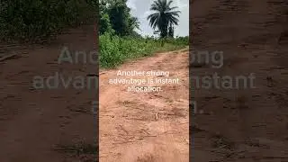 #nigeriansindiaspora #realestateagent #passiveimcometips #realestateinvestment #nigeria