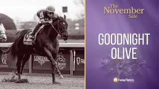 #FasigFeature: Goodnight Olive