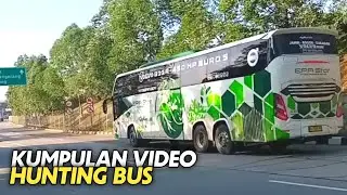 Kumpulan Video Hunting Bus ❗ EPA STAR, SINAR JAYA, MUJI JAYA, 168 TRANS, ARYA PRIMA, SAHAALAH dll