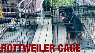 WHICH CAGE IS BEST FOR YOUR ROTTWEILER?