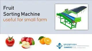 Sorting machine for Orange in Korea