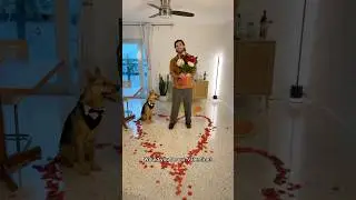 Did my dog&rsquo;s Valentine&rsquo;s Day surprise pass the test?