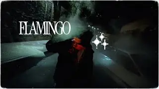 Aries - FLAMINGO [alt rock version]
