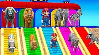 Long Slide Game With Super Mario Lion Gorilla Hippo Mammoth Trex 3d Animal Game Funny 3d Animals