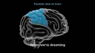 Dream Decoded: Why Words Get Blurry in Your Dreams