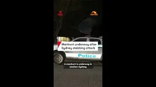 Manhunt underway after Sydney stabbing attack