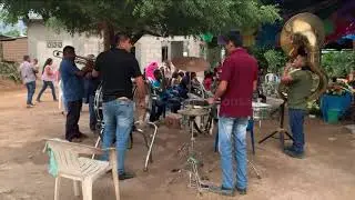 La explosiva Banda de Vista Hermosa de Ayutla de los Libres 2