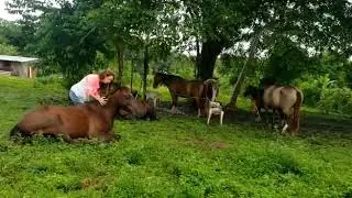 Peace receives EquiTouch