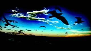 Elyonbeats - Fly With Me