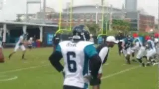 Jaguars punter Bryan Anger