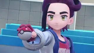 Becoming A Pokemon Elite 4 Member (Dragon Type, Battle 4)