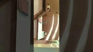 Hotel Guest Inn Residency