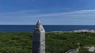 Isles of Shoals Birds - Tucke Monument - July 19, 2025