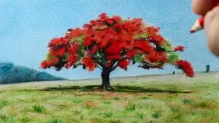 Como desenhar Paisagem com Flamboyant - PASSO A PASSO - narrado
