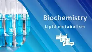 Lipid metabolism 2 ,Bio,L23