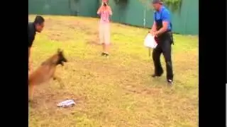 K9 Protection Workshop 2014 - Team DK9 Malinois Lala Wing & Eyson