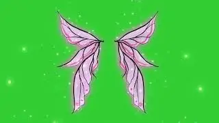 Pink fairy wings green screen free video, no copyright