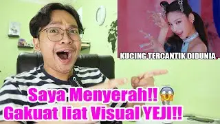 ITZY - 'LOCO' MV Reaction ( CHENG LI BIKIN SAYA NYERAH!! )