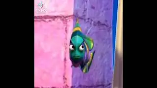 Judgemental fish