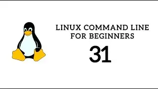 Linux Command Line For Beginners 31 - adduser command