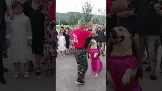 Get Ready to Melt! A Dog Dancing in Dresses - You Have to See This!#shorts #trending