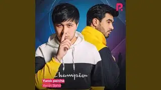 Yurak parcha