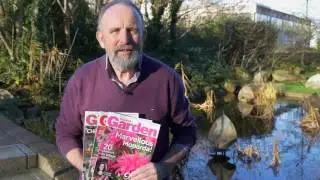 The Irish Garden Subscriptions