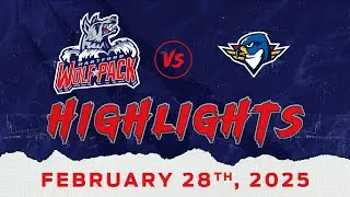 02.28.2025 Hartford Wolf Pack vs. Springfield Thunderbirds