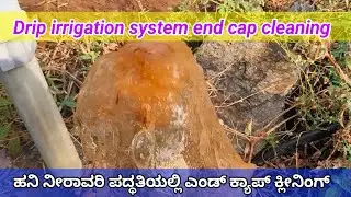 ಡ್ರಿಪ್ ಪೈಪ್ ಎಂಡ್ ಕ್ಯಾಪ್ ಕ್ಲೀನಿಂಗ್ | Drip irrigation system end cap cleaning process in kannada