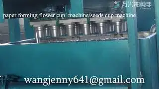 fully paper seeds tray machine flower cup machine/seeds cup making machine