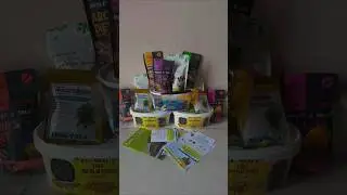 I Tried Live & Dried Insects for My Pets || The Reaction Shocked Me 😳 ||