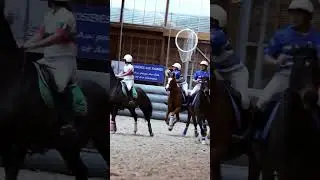 Horse Ride Passion 🏇&hearts;️ - Pferd Reit Leidenschaft  🦄