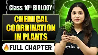 Chemical Coordination In Plants Complete Chapter in One Shot | Class 10 Biology | ICSE Board