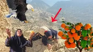 The Brave Mountain Mother: Risking Everything for Her Child in the Wild Zagros Mountains of Iran