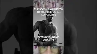 alpha male meme