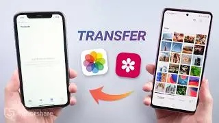 [3 Ways] How to Transfer Photos from Android to iPhone