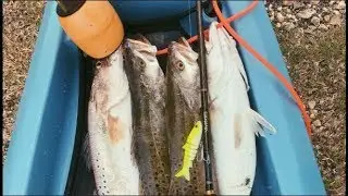 Galveston Kayak Fishing: Vudu Mullet by Egret Baits